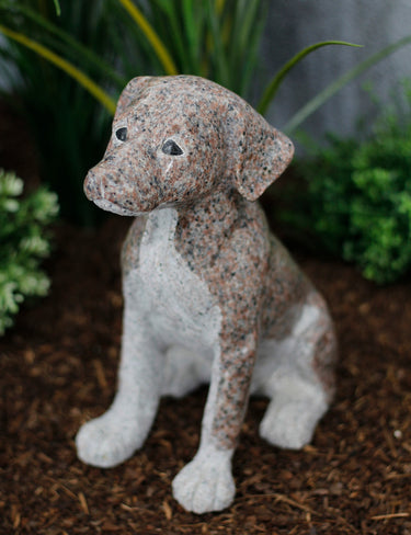 Hund Granit rot